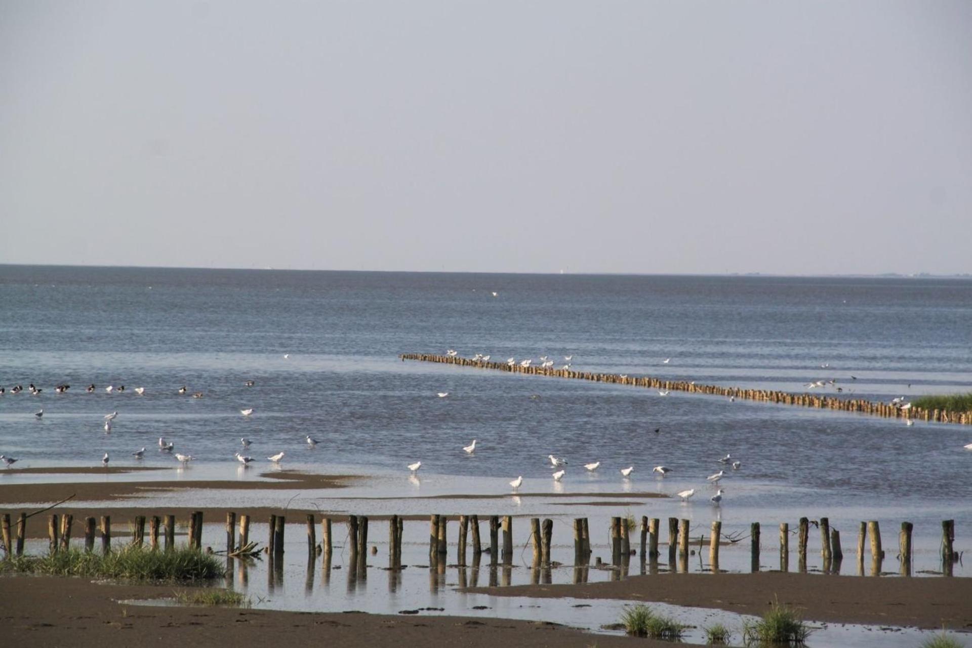 Ferienhof Schoof No2 Friedrichskoog Esterno foto